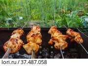 Barbecue cooked on the grill. Стоковое фото, фотограф Дмитрий Тищенко / Фотобанк Лори