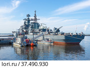 Советский эсминец «Беспокойный» в парке «Патриот» солнечным августовским утром. Кронштадт (2021 год). Редакционное фото, фотограф Виктор Карасев / Фотобанк Лори
