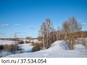 Река Уча в Подмосковье ранней весной, Россия (2022 год). Стоковое фото, фотограф Елена Коромыслова / Фотобанк Лори