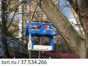 Красивая кормушка для птиц во дворе школы. Стоковое фото, фотограф Щеголева Ольга / Фотобанк Лори