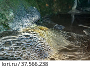 Interior of a natural cave with amazing speleothems. Стоковое фото, фотограф Евгений Харитонов / Фотобанк Лори