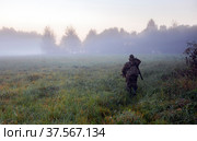 Охотник с ружьем в утреннем тумане на краю поля. Стоковое фото, фотограф Олег Елагин / Фотобанк Лори