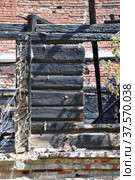 Charry logs of a burnt wooden house against a red brick wall with tree branches and dry weeds. Стоковое фото, фотограф Игорь Мальцев / Фотобанк Лори