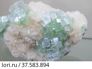 A piece of raw mineral. Apophyllite close-up. Стоковое фото, фотограф Дина Дамоцева / Фотобанк Лори