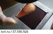 Manufacture of a blank for photolithography. Стоковое видео, видеограф Поскребышев Михаил / Фотобанк Лори