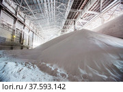 White heap or pile of salt granules of phosphoric (phosphate) fertilizers on chemical plant. Стоковое фото, фотограф Alexey Rezvykh / Фотобанк Лори