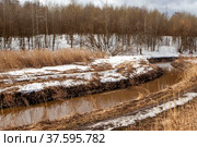 Муринский ручей. Муринский Парк. Санкт-Петербург (2022 год). Стоковое фото, фотограф Сергей Афанасьев / Фотобанк Лори