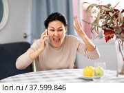 Wrathful woman quarreling on phone in apartment. Стоковое фото, фотограф Яков Филимонов / Фотобанк Лори