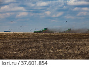 Tractors cultivating soil with plows. Dust cloud and birds. Blue sky,clouds. Spring sowing campaign. Стоковое фото, фотограф Alexey Rezvykh / Фотобанк Лори