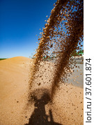 Grain winnower machine for wheat seeds. Spring sowing campaign. Стоковое фото, фотограф Alexey Rezvykh / Фотобанк Лори