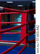 Boxing ring of fighting club Excalibur. (2022 год). Редакционное фото, фотограф Сергей Пристяжнюк (Serg Zastavkin) / Фотобанк Лори