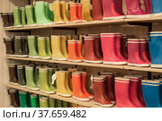 Rubber boots of different colors on the store shelves. Стоковое фото, фотограф Irina Kuchugurina/Gaudy / Фотобанк Лори