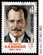 90-летие со дня рождения академика Н.И.Вавилова (1887 - 1943). Почтовая марка СССР 1977 г. Стоковое фото, фотограф Щеголева Ольга / Фотобанк Лори