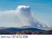 Природный пожар в горах юга Забайкалья. Стоковое фото, фотограф Геннадий Соловьев / Фотобанк Лори