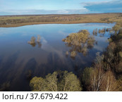 Московская область, Можайский район, весенний разлив на реке Колочь (2022 год). Стоковое фото, фотограф glokaya_kuzdra / Фотобанк Лори