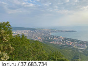 Вид на Геленджик с обзорной площадки Сафари-парка (2021 год). Стоковое фото, фотограф Мария Кылосова / Фотобанк Лори
