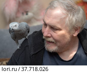 Jaco parrot on his shoulder. Стоковое фото, фотограф Argument / Фотобанк Лори