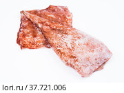 Fresh squid. Стоковое фото, фотограф Станислав Тарко / Фотобанк Лори