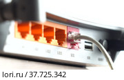 Connecting the Internet Cable from the Router. Стоковое видео, видеограф Владимир Федоров / Фотобанк Лори