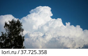 White clouds swirl. Time lapse. Pan shot. Beautiful blue sky with clouds moving cloud cluster swirling upward background. Стоковое видео, видеограф Владимир Федоров / Фотобанк Лори