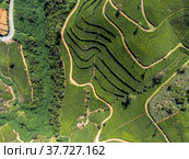 Sri Lanka. Nuwara Eliya region. Alpine green tea plantations on the slopes of the mountains. Shooting from the air on a drone. Sunny day. View - vertically from above. (2021 год). Редакционное фото, фотограф Yuriy Savin / Фотобанк Лори