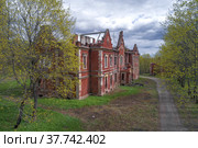 Вид на руины старинного особняка в дворянской усадьбе "Княжья горка" майским днем (съемка с квадрокоптера). Псковская область, Россия (2022 год). Стоковое фото, фотограф Виктор Карасев / Фотобанк Лори