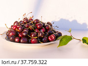 Спелая сочная крупная ароматная черешня на тарелке. Ripe juicy large fragrant cherries on a plate. Стоковое фото, фотограф Мария / Фотобанк Лори
