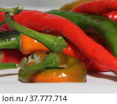 Spicy chili. Astrakhan pepper. Стоковое фото, фотограф Елена Бобкова / Фотобанк Лори
