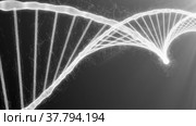 Microscope view to destruction of the dna helix strand for the molecules atoms. Стоковое видео, видеограф Олег Грач / Фотобанк Лори