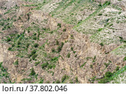 Landscape of a mountain slope with weathered rocks and screes covered with shrubs. Стоковое фото, фотограф Евгений Харитонов / Фотобанк Лори