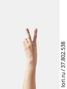 Counting on fingers, five back hand. Стоковое фото, фотограф Ярослав Данильченко / Фотобанк Лори