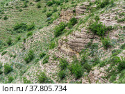 Landscape of a mountain slope with weathered rocks and screes covered with shrubs. Стоковое фото, фотограф Евгений Харитонов / Фотобанк Лори