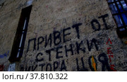 Стена памяти Виктора Цоя (2022 год). Редакционное видео, видеограф Vanilla Decline / Фотобанк Лори