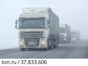 DAF XF (2016 год). Редакционное фото, фотограф Art Konovalov / Фотобанк Лори