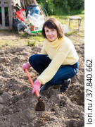 Woman hoeing in garden. Стоковое фото, фотограф Яков Филимонов / Фотобанк Лори