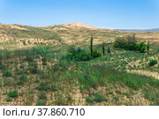 Semi-desert spring landscape in the vicinity of the Sarykum sand dune (2022 год). Редакционное фото, фотограф Евгений Харитонов / Фотобанк Лори