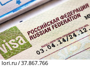 Российская виза в загранпаспорте. Стоковое фото, фотограф Александр Гаценко / Фотобанк Лори
