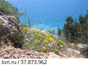Берег Чёрного моря (2021 год). Стоковое фото, фотограф Палесика Марина / Фотобанк Лори