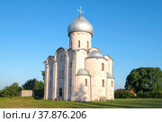 Средневековая церковь Спаса на Нередице  (1198) солнечным июньским утром. Окрестности Великого Новгорода, Россия (2022 год). Стоковое фото, фотограф Виктор Карасев / Фотобанк Лори