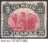 Африканский пейзаж с двумя верблюдами-дромадерами (Camelus dromedarius), король Португалии Карлуш I. Почтовая марка Ньяса 1901 года. Редакционная иллюстрация, иллюстратор александр афанасьев / Фотобанк Лори