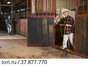 Asian female rancher leading white horse out of stall in stable. Стоковое фото, фотограф Яков Филимонов / Фотобанк Лори