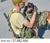 Солдат обнимает собаку. Малинуа служебная собака. Вооружённые силы и бельгийская овчарка. (2022 год). Редакционное фото, фотограф Виталий Михайлюк / Фотобанк Лори