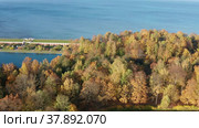 Петергоф осенью. Аллеи Нижнего парка. Вид с воздуха. Peterhof in autumn. Alleys of the Nizhny Park. Aerial view. (2021 год). Редакционное видео, видеограф Евгений Романов / Фотобанк Лори