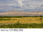 Луг и горный хребет в Армении в Араратской области (2013 год). Стоковое фото, фотограф Дымов Игорь / Фотобанк Лори