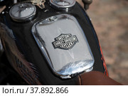 Эмблема и логотип мотоциклетного бренда Harley Davidson на баке мотоцикла (2021 год). Редакционное фото, фотограф Литвяк Игорь / Фотобанк Лори