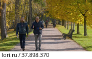 Петергоф осенью. Люди прогуливаются по аллеям Нижнего парка. Peterhof in autumn, people are walking in the alleys of the Nizhniy Park. (2021 год). Редакционное видео, видеограф Евгений Романов / Фотобанк Лори