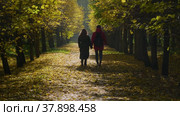 Петергоф осенью, Нижний парк. Влюбленная пара идет по аллее. Peterhof in autumn, Nizhniy Park. A couple in love is walking down the alley. (2021 год). Редакционное видео, видеограф Евгений Романов / Фотобанк Лори