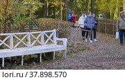 Петергоф, Нижний парк осенью. Подростки играют у фонтана Дубок. Peterhof, Nizhniy Park in autumn. Teenagers play by the Oak Fountain. (2021 год). Редакционное видео, видеограф Евгений Романов / Фотобанк Лори