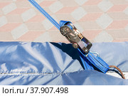 К бетонному блоку прикреплена стяжная лента с натяжным устройством. Грузовые стяжки. Стоковое фото, фотограф Александр Бушков / Фотобанк Лори