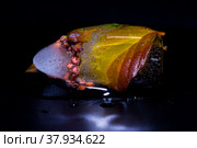 Ice with ninebark buds and leaves. Стоковое фото, фотограф Наталья Лагуткина / Фотобанк Лори